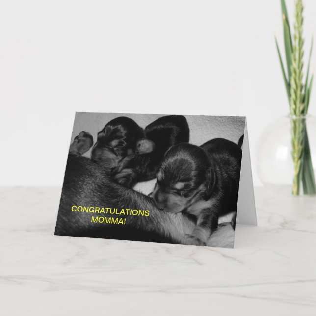 CARTE FÉLICITATIONS MOMMA ! (Devant)