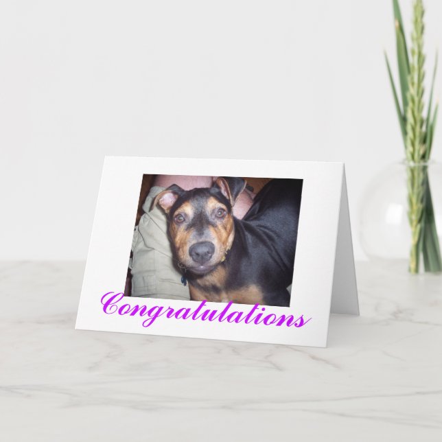 Carte Félicitations Nouveau Chien (Devant)