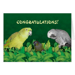 Carte Félicitations Parrot