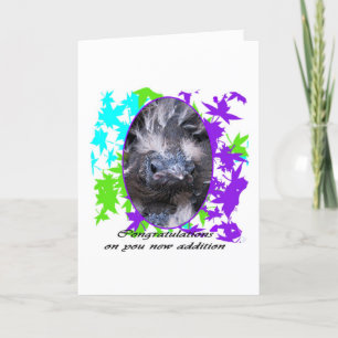 Carte Félicitations pour bébé : Félicitations bébé