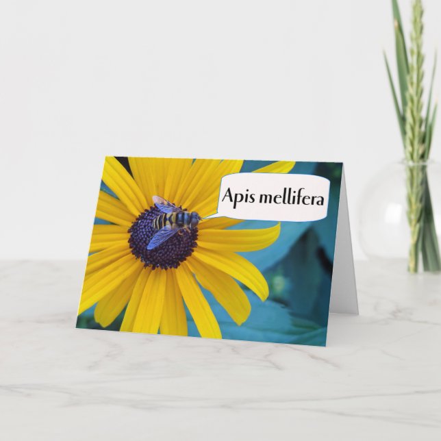 Carte Félicitations pour le concours d'orthographe gagna (Devant)