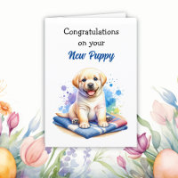 Félicitations pour le nouveau chiot ! Labrador
