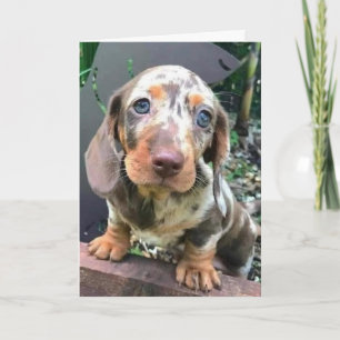 CARTE *FÉLICITATIONS POUR LE NOUVEAU POSTE/ON VA VOUS RE