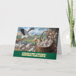 Carte Félicitations pour nouveau bébé Kitten et St
