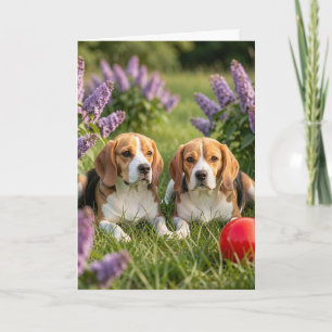 Carte Félicitations pour vos nouveaux Beagles   Félicita
