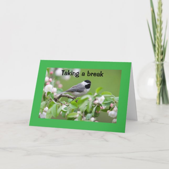 CARTE **FÉLICITATIONS POUR VOUS!!!!!** (Devant)