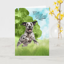 Félicitations reBARKable Dalmatien