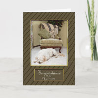 FÉLICITATIONS SUR la NOUVELLE MAISON - chien