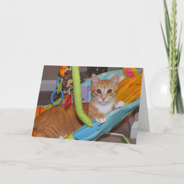 Carte Félicitations sur votre nouvelle addition (Devant)