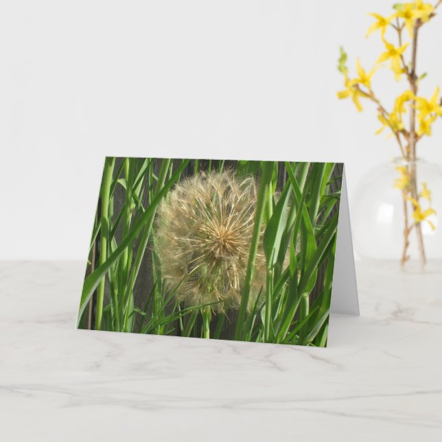 Carte - Félicitations - Vesse-de-loup (Fleur jaune)