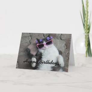 Carte Feline Diva Anniversaire