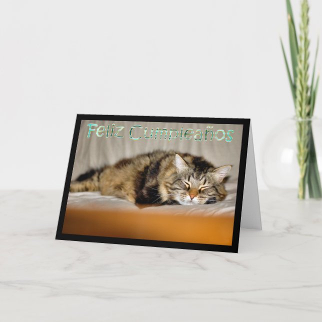 Carte Feliz Cumpleaños espagnol Anniversaire avec chaton (Devant)