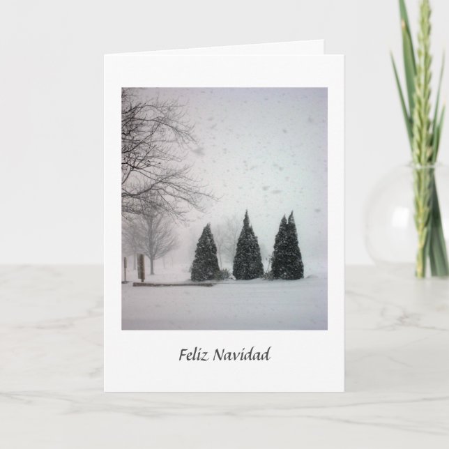 Carte Feliz Navidad (Devant)