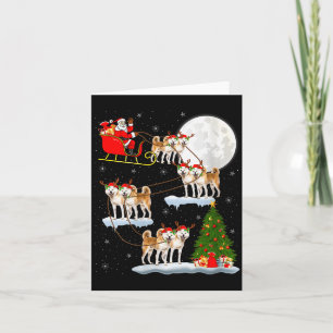 Carte Femme Akita Chien Père Noël Traîneau Volant Drôle