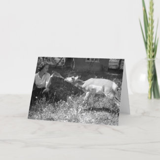 Carte Femme allaitant une antilope