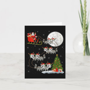 Carte Femmes Raton Laveur Père Noël Traîneau Volant Drôl