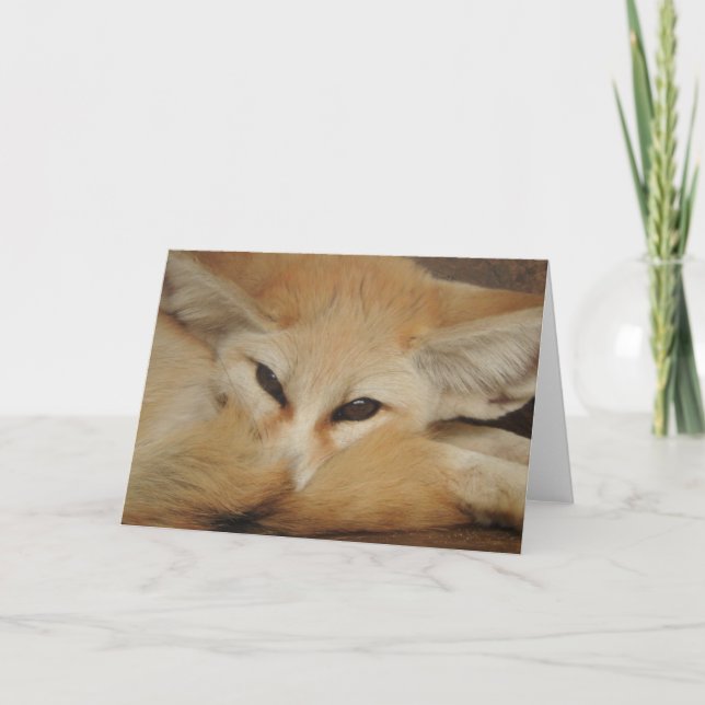 Carte Fennec (Devant)