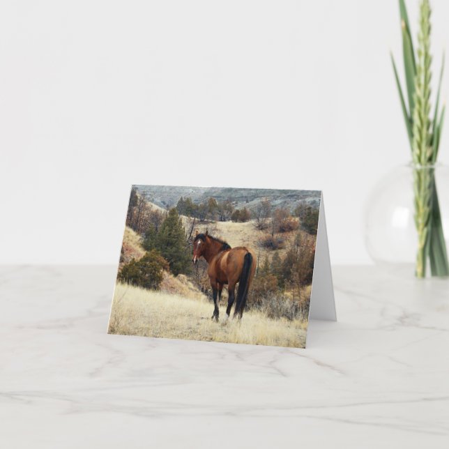Carte Feral Horse, Parc national Theodore Roosevelt, ND (Devant)