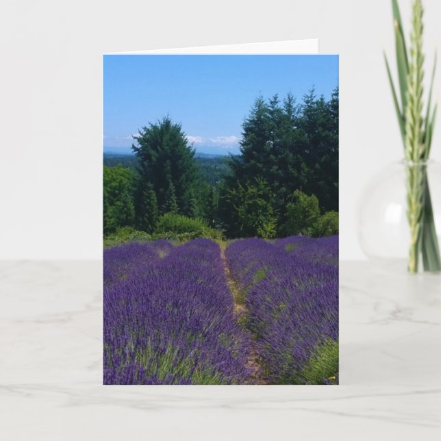 Carte Ferme de Lavender (Devant)