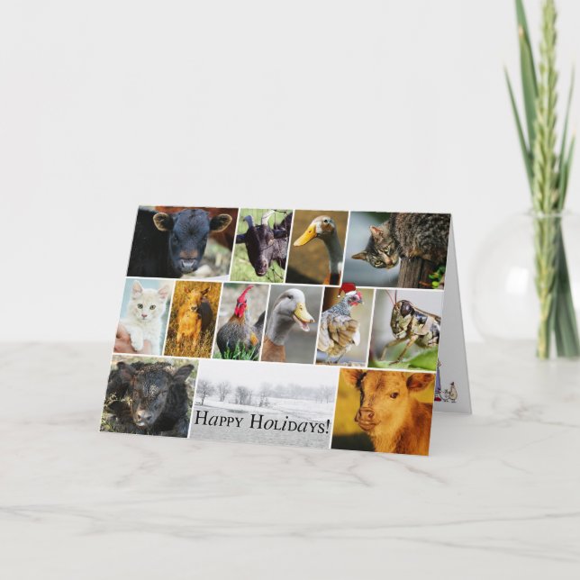 Carte FERME de vacances (Devant)