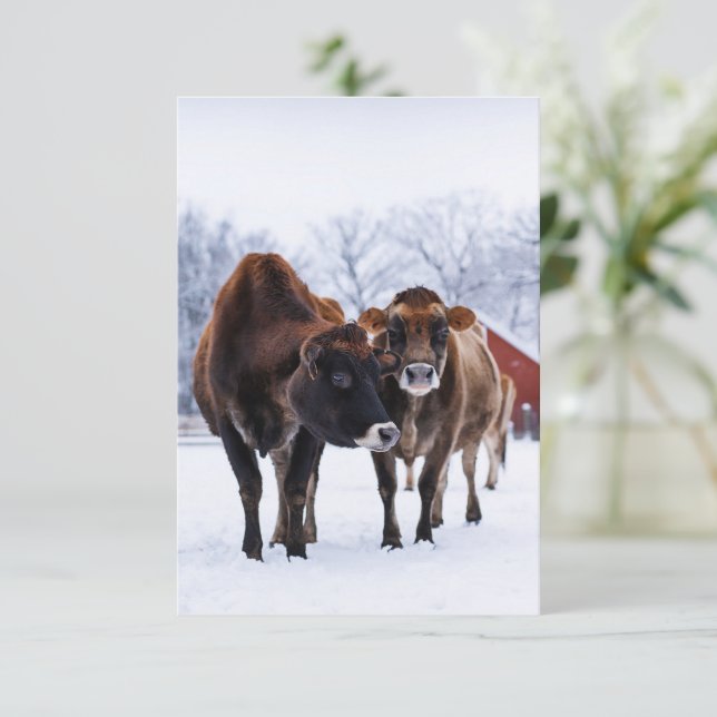 Carte Ferme d'hiver deux vache brune dans la neige salut (Debout devant)