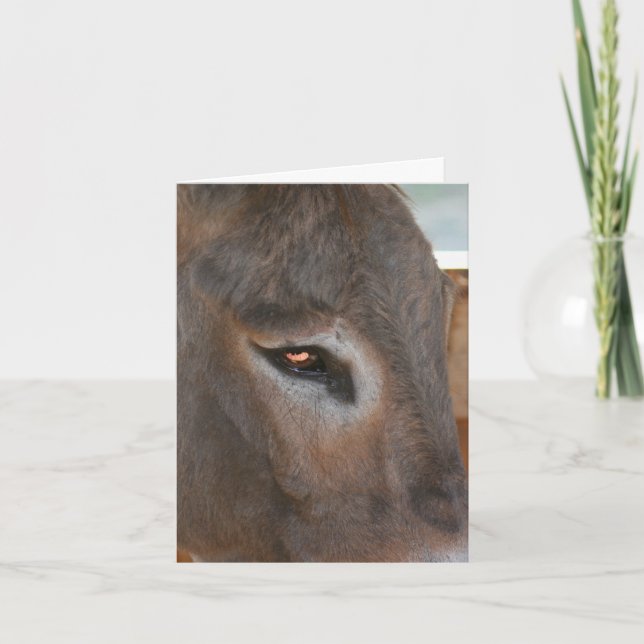 Carte Ferme Pensées d'Âne Note sur les Animaux de la Fer (Devant)