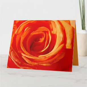 Carte Fermer le Rose lumineux