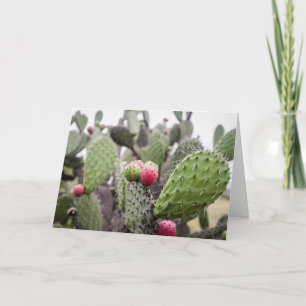 Carte Fermeture Des Cactus De Pires
