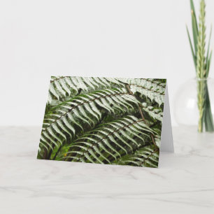 Carte Fern Fronds II Dark Green Nature
