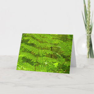 Carte Fern Fronds III Nature verte Botanique