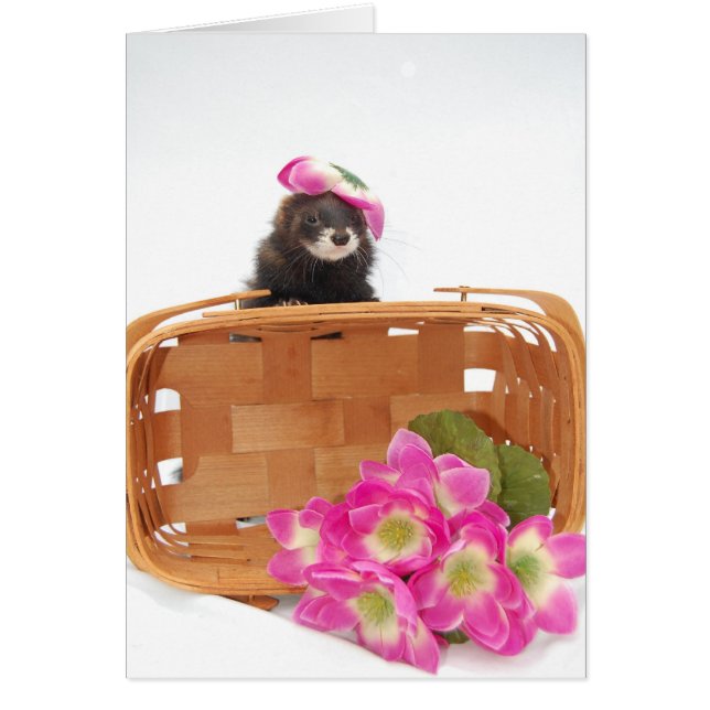 Carte Ferret (Devant)