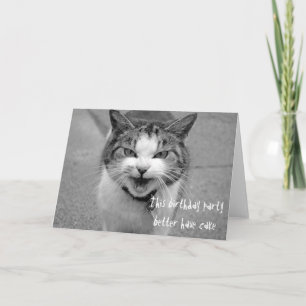 Carte Fête d'anniversaire de chat en colère mieux avoir 