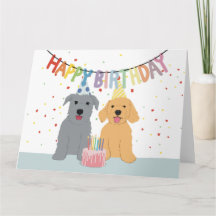 Fête d'anniversaire de deux chiens