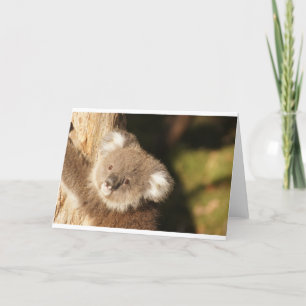 Carte Fête d'anniversaire de douche de nounours koala mi