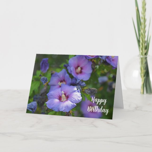 Carte Fête de l'Hibiscus pourpre Anniversaire (Devant)