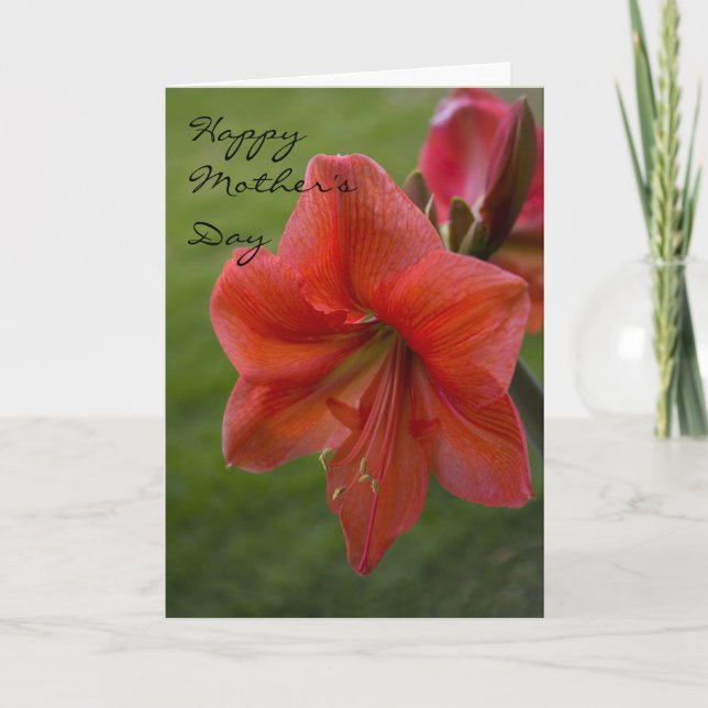 Carte Fête des mères Amaryllis (Devant)
