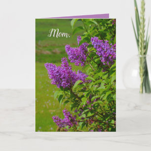 Carte Fête des Mères, belles fleurs, lilas, jolie