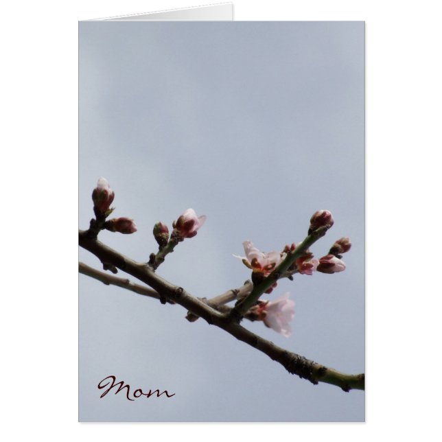 Carte Fête des Mères Blossom (Devant)