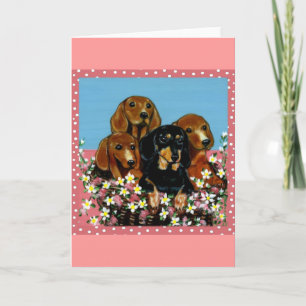 Carte Fête des Mères Dachshunds