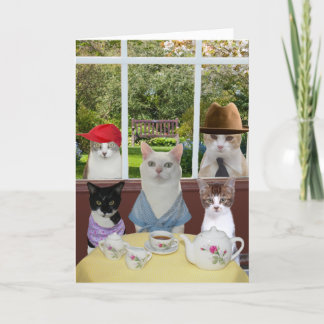 Carte Fête des mères de chats ou anniversaire