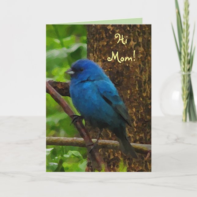 Carte Fête des mères d'Indigo Bunting (Devant)