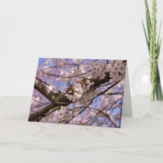 Carte Fête des mères en fleurs (Devant)