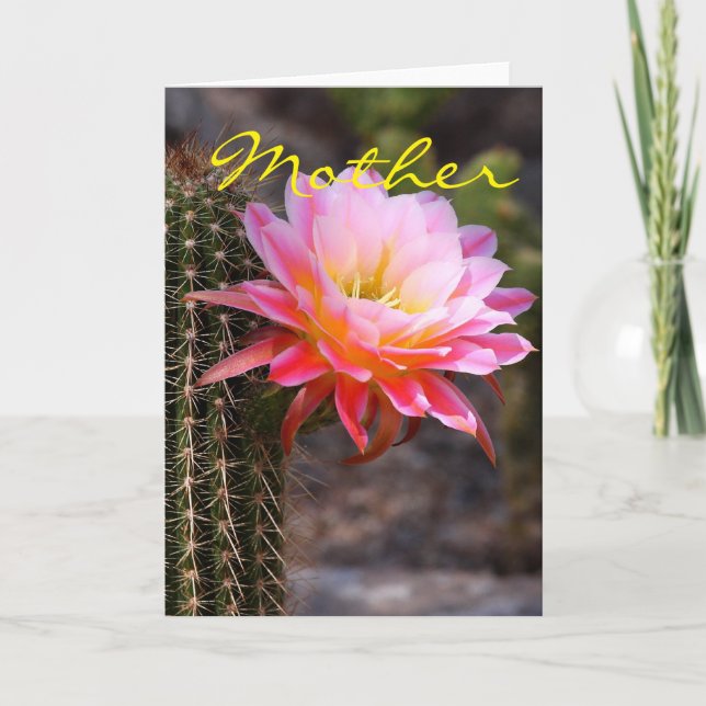 Carte Fête des mères et cactus roses (Devant)