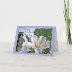Carte Fête des mères Hibiscus blanc Rose de Sharon