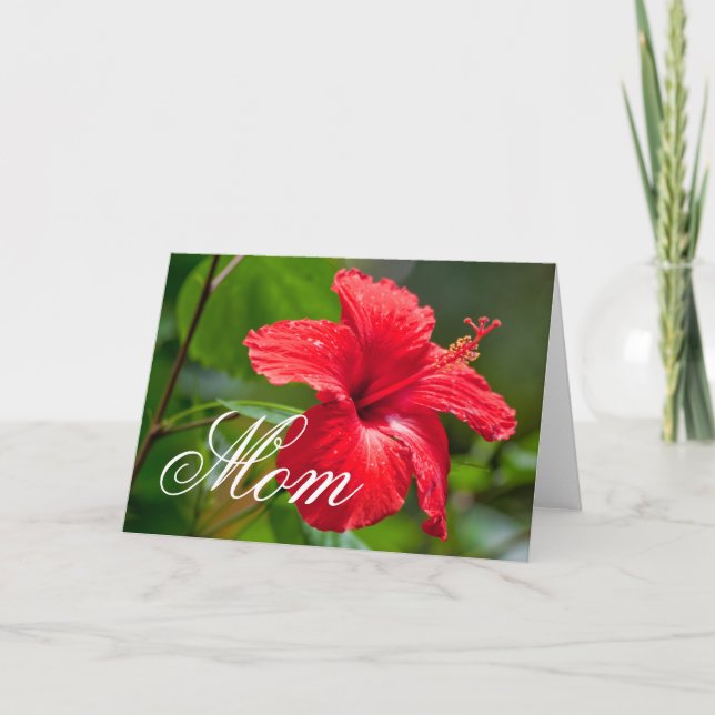 Carte Fête des mères Hibiscus rouge Fleur tropicale (Devant)