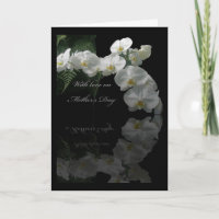 Fête des Mères Orchidées et fougères