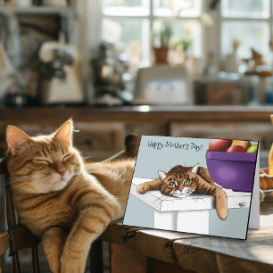 Carte Fête des mères Ornage Tabby Cat