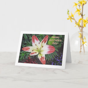 Carte Fête des mères Remerciement / PRETTY DAYLILY