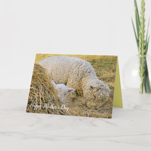 Carte Fête des mères, scène agricole, bébé avec mère, ag (Devant)