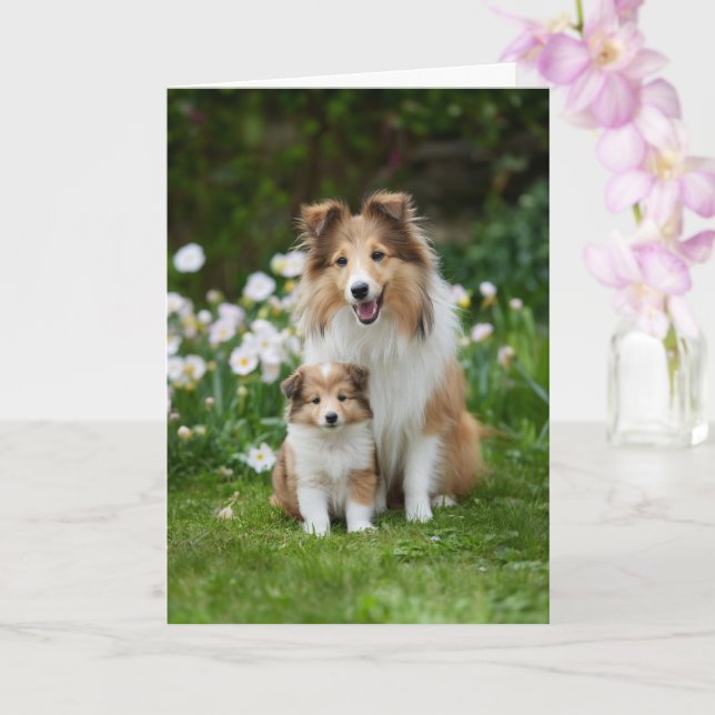 Carte Fête des mères Sheltie maman amour (Orchidée)
